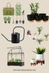 Christmas gift ideas for plant lovers