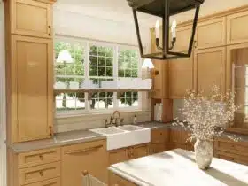european kitchen rendering option with glass cabinets near range
