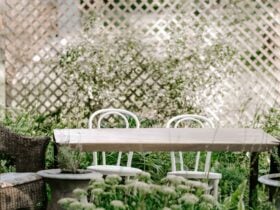 table in garden