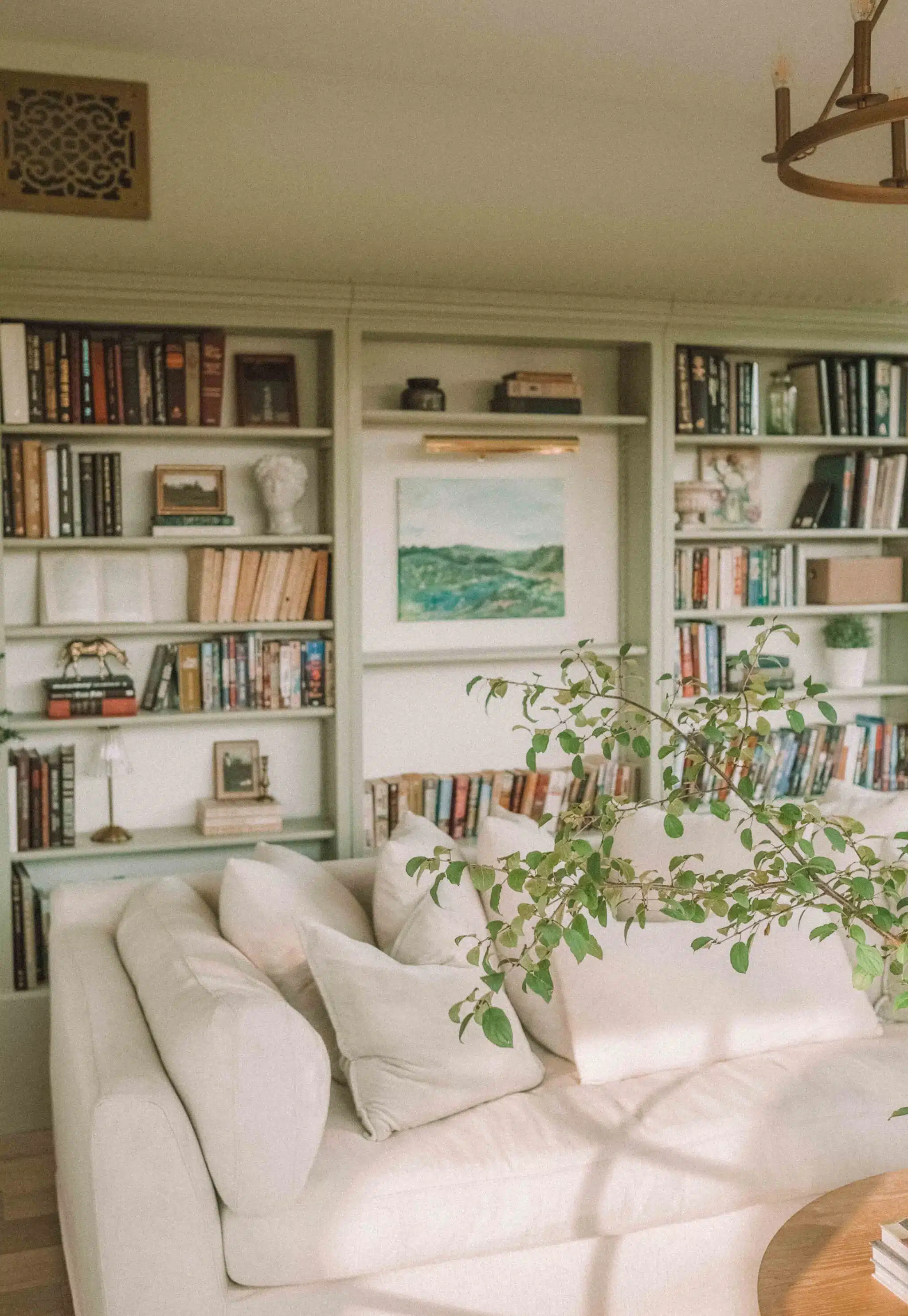 sage green bookcases in a library