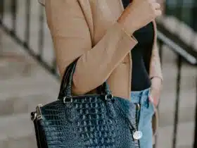 brahmin handbag